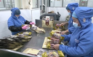 人勤春早争朝夕 拼搏赶超'开门红'——食品代理与销售的机遇与策略