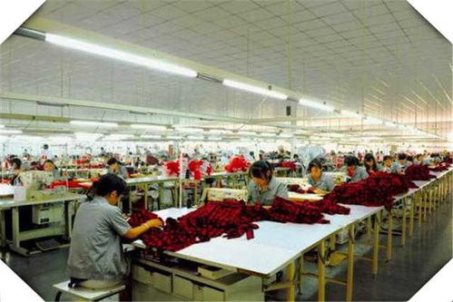 4个适合创业的小型加工厂项目推荐，干好一个年收入高达100万，覆盖食品代理和销售