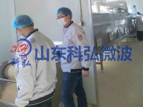 微波食品杀菌机工厂直销价格与供应信息解析