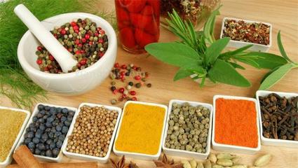 特味轩调味品 精细化食品代理与销售策略解析