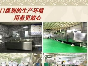 开启宠物食品事业新蓝海 天然鲜肉犬粮代理与代工合作指南